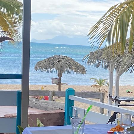 Le 35 Anse Des Rochers Saint-Francois Bagian luar foto