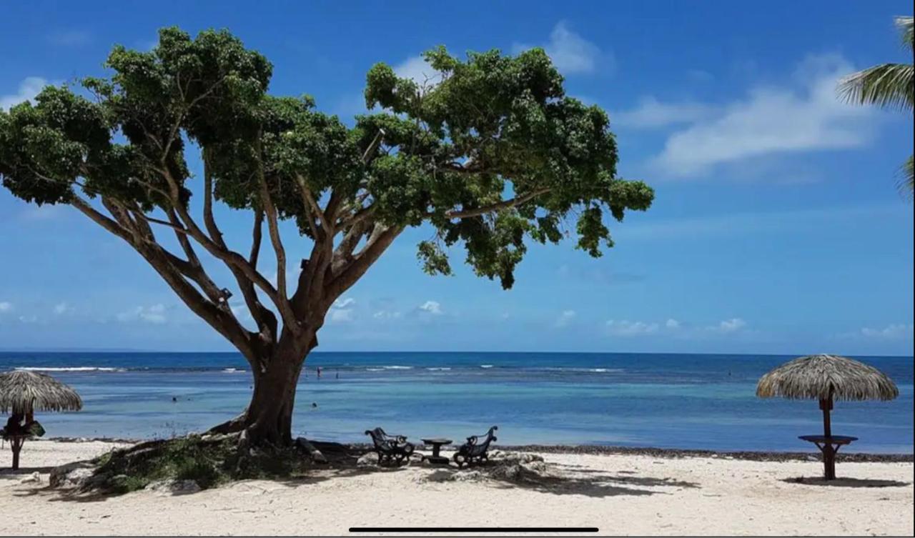 Le 35 Anse Des Rochers Saint-Francois Bagian luar foto
