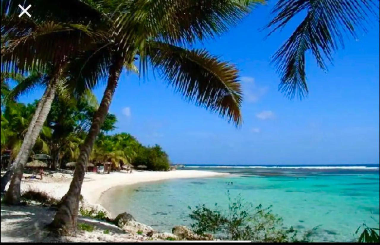 Le 35 Anse Des Rochers Saint-Francois Bagian luar foto