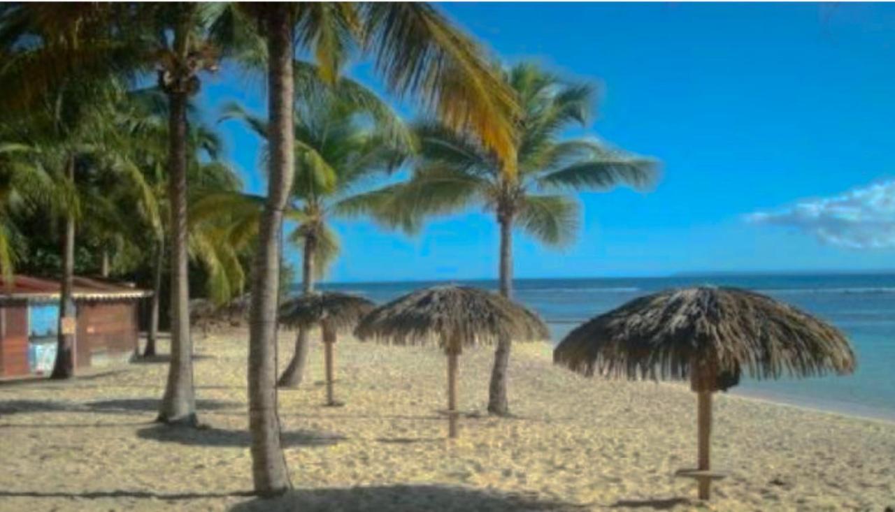 Le 35 Anse Des Rochers Saint-Francois Bagian luar foto
