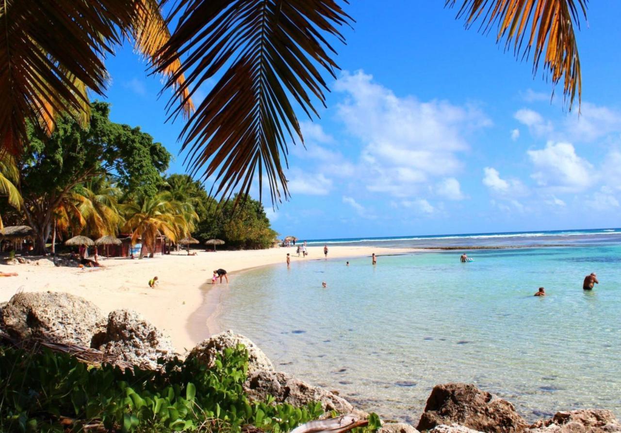 Le 35 Anse Des Rochers Saint-Francois Bagian luar foto