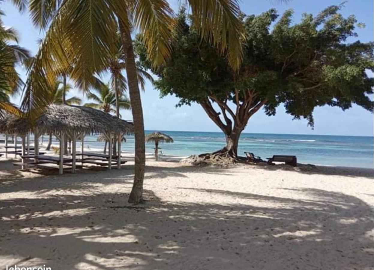 Le 35 Anse Des Rochers Saint-Francois Bagian luar foto
