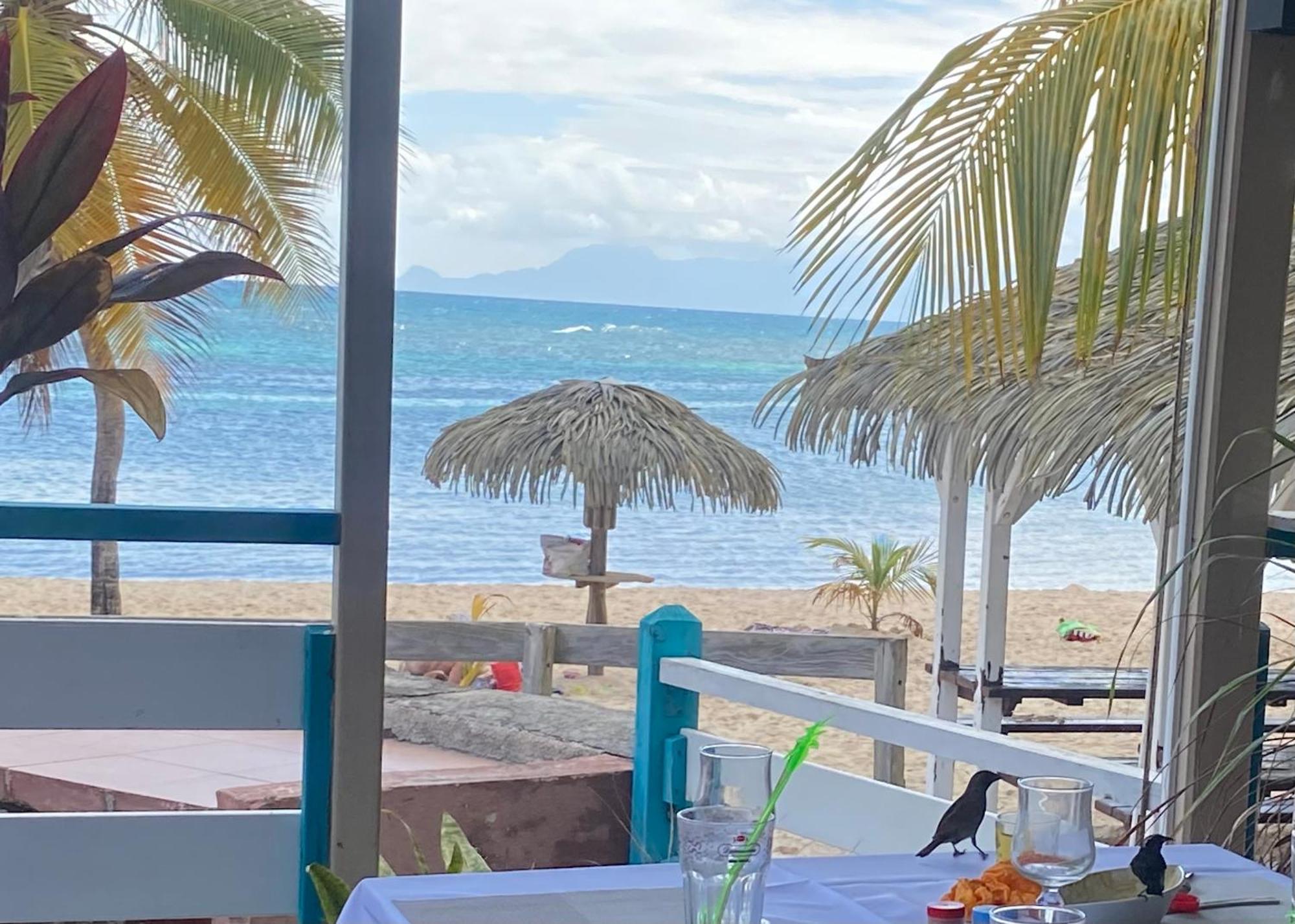 Le 35 Anse Des Rochers Saint-Francois Bagian luar foto